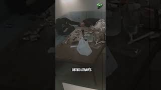 Julie Do Kiss Of Life Em Vídeo Vazado