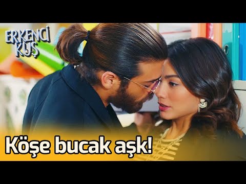 Köşe Bucak Aşk! | Erkenci Kuş