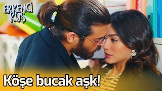 Köşe Bucak Aşk! | Erkenci Kuş