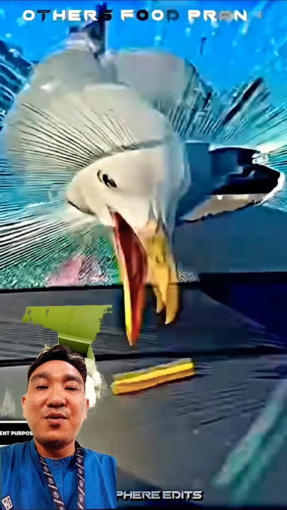strong and sharp beak #funny #edit #memes #stitchtricks #duet #stitchboutique #art #diynstitch