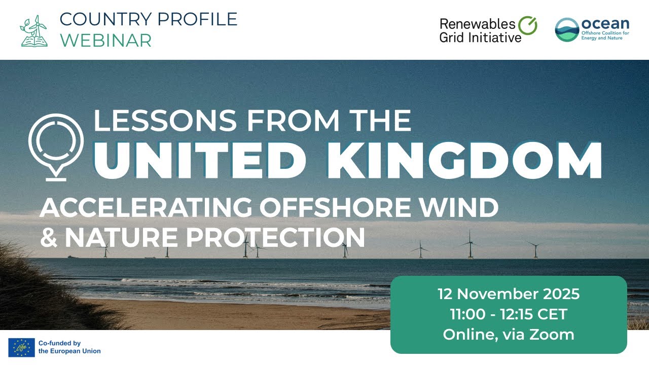 Country Profile Webinar | Lessons from the UK: Accelerating offshore wind and nature protection