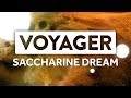 Miniature de la vidéo de la chanson Saccharine Dream