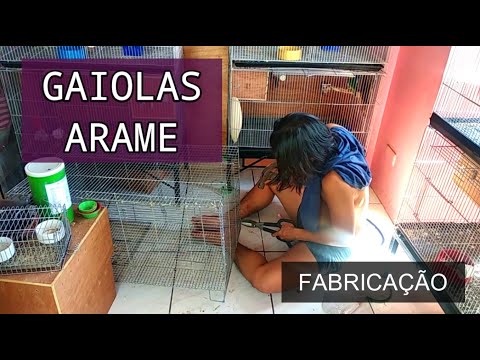 Vídeo: 4 maneiras de cuidar dos bebês tartarugas de água doce