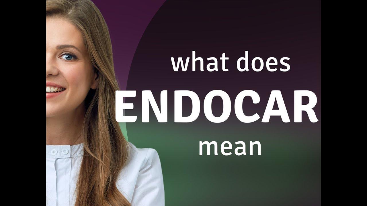 Endocarp what is ENDOCARP meaning YouTube