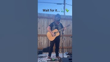 #reels #newmusic #music #live #love #kids #kidssongs #kidsvideo #shorts #shortsfeed #shortsvideo
