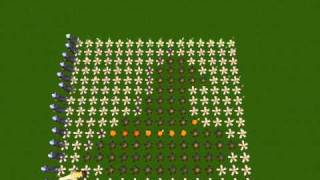 Runescape : The Firemaking Project
