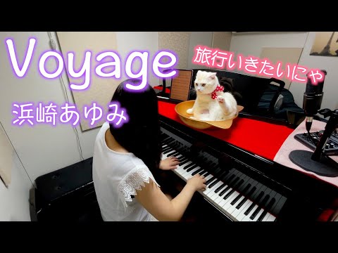 寝る前に１曲♪【Voyage】浜崎あゆみ/ぷりんと楽譜 ピアノソロ（初級）歌詞付き ドラマ「マイリトルシェフ」主題歌 ＃弾いてみた ＃猫とピアノ