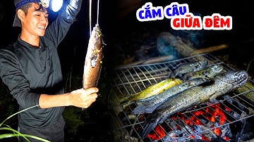 Cắm Câu Cá Trê Vàng, Lóc Cụ Giáp Ranh Rừng Quốc Gia, Kím Mồi Lai Rai - Ký Sự Rừng U Minh - Tập 7