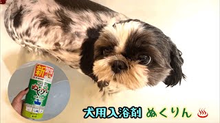 犬用入浴剤♨️ぬくりん 。ワンコのお風呂！ひなver.【短い動画】Dog bathing！