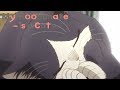 Warm Spot | My roommate is a Cat
