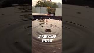 Slow motion reverse #youtubeshorts #shorts #slowed #trending #nature #shortsfeed