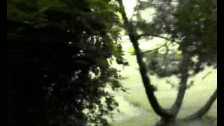 Teemu T - Quiescent