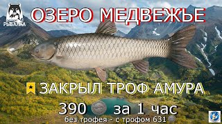 🌟ОЗЕРО МЕДВЕЖЬЕ 🌟 ТРОФ АМУР - ТРОФ КАРАСЬ ЗОЛОТОЙ - КАРП ЧЕШУЙЧАТЫЙ 🌟Русская Рыбалка 4 (РР4)🌟