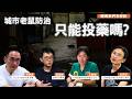 看到老鼠，別只是投藥｜聽專家解析城市老鼠防治怎麼做？｜公視我們的島【聽專家怎麼說】