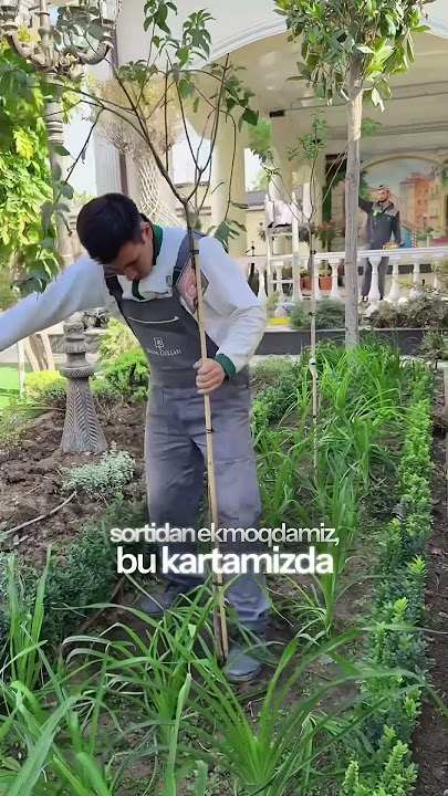 Orqa tomondan qinning korinishi Erim uyda men sevganimni sikmoqchiman.