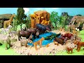 Fun Safari Sets and Playmobil Animal Figurines - Learn Animal Names