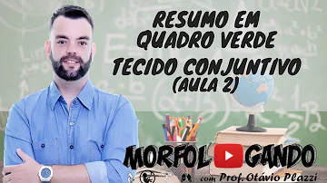 Quais são os principais componentes da matriz extracelular do tecido conjuntivo?
