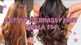 GETTING RID OF ORANGE BRASSY HAIR W/ WELLA T14 | Brunette Hair