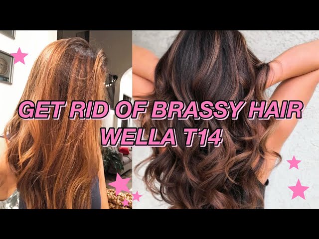 GETTING RID OF ORANGE BRASSY HAIR W/ WELLA T14 | Brunette Hair - YouTube