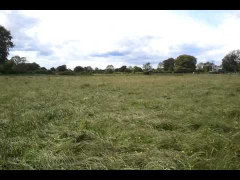 Mark Rickards At The Silage 2011 In Co.Meath Athbo...