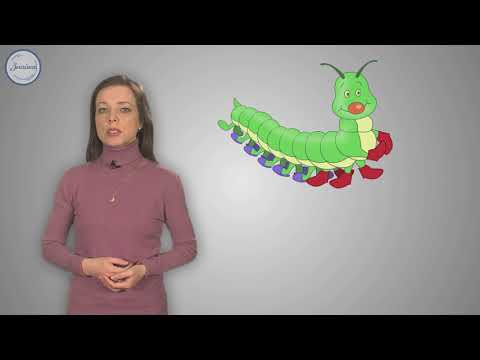 Математика 1 класс. Сравнение двузначных чисел