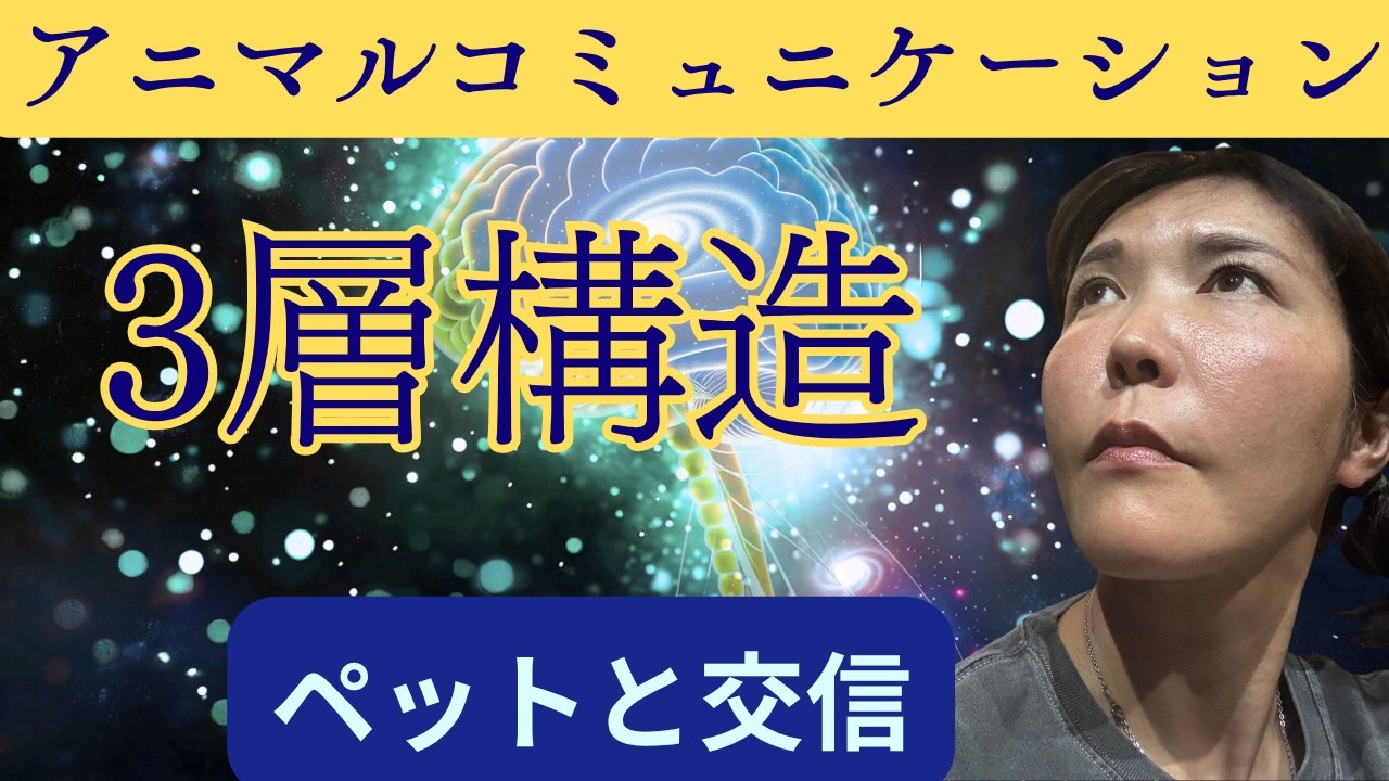 ◆魂から視る◆アニマルコミュニケーションするための3層とは ペットと深くつながりを求めるあなたへ◆三層構造を理解しよう◆