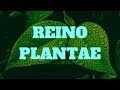 REINO PLANTAE