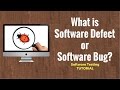 What is Software Defect or Software Bug? Software Testing Tutorial 22