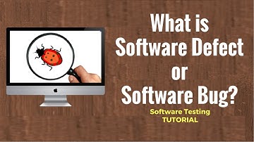 What is Software Defect or Software Bug? Software Testing Tutorial 22