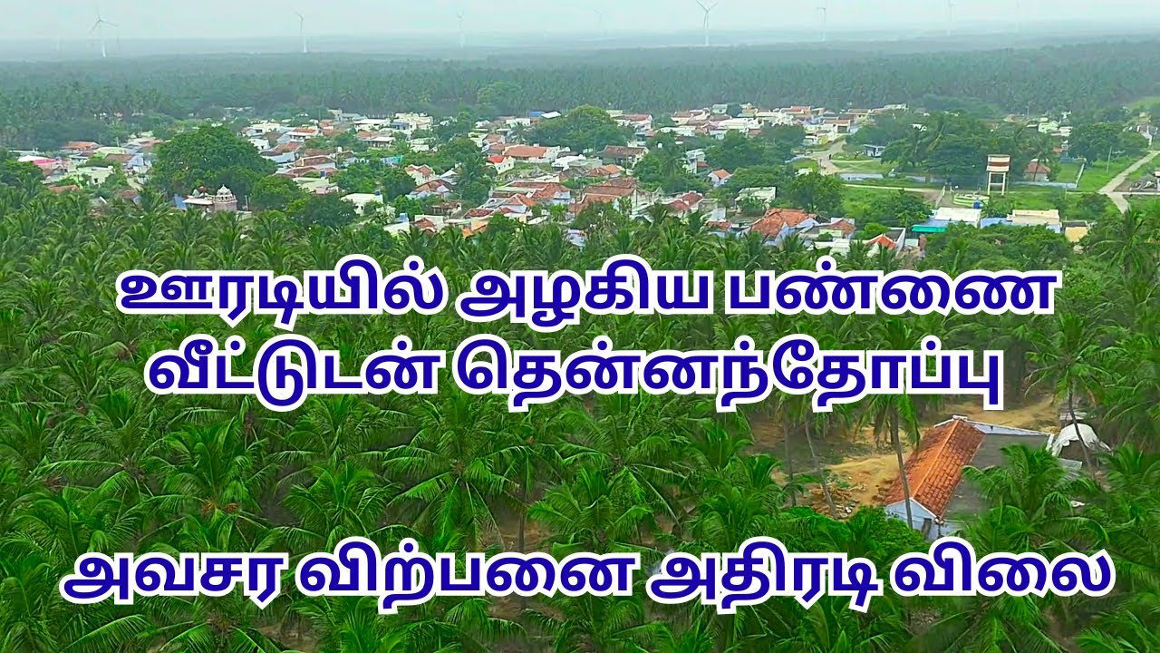 🔴Срочно продается 🏕️Прекрасный фермерский дом с 🌴Кокосовой рощей🌴 по выгодной цене в Уради