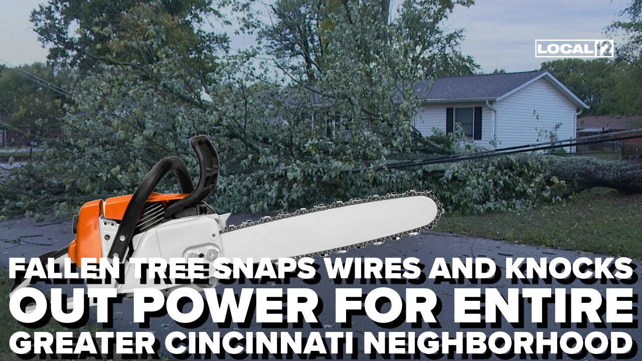 Fallen tree snaps wires and knocks out power for entire Greater ...