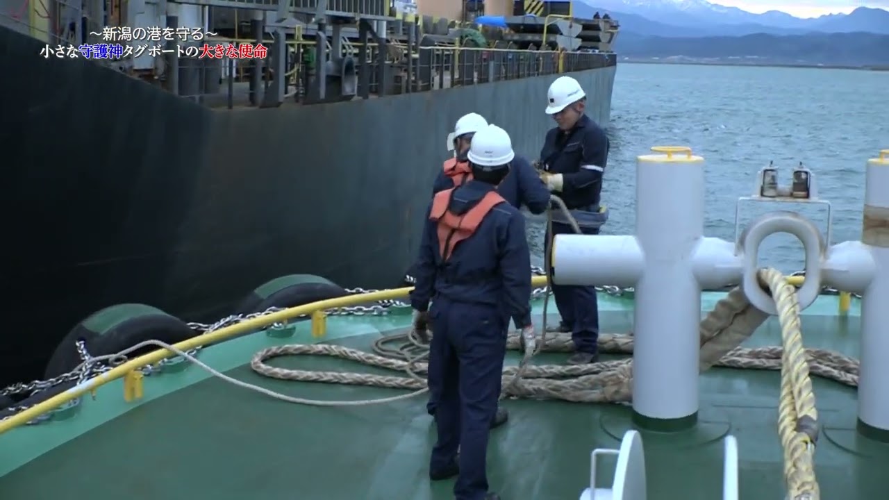 曳エギ　3.5寸 9本　　船曳　舟曳　曳型 FISHING DRAGONS[フィッシングドラゴンズ]OnlineStore |