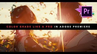 Video thumbnail of "COLOR GRADE Like A PRO In Adobe Premiere Pro!"
