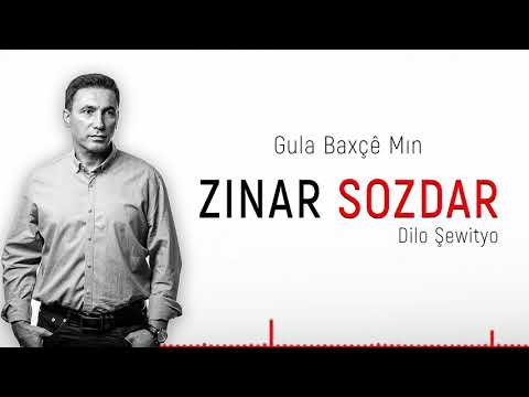 Zınar Sozdar - Dilo Şewityo