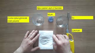 Ayrılmayan Bardaklar Deneyi