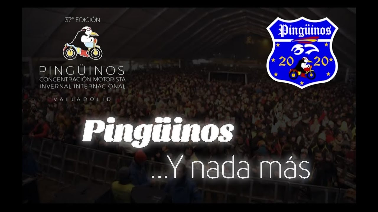 Pingüinos 2020 (VIDEO OFICIAL)  -  TVeo Producciones.