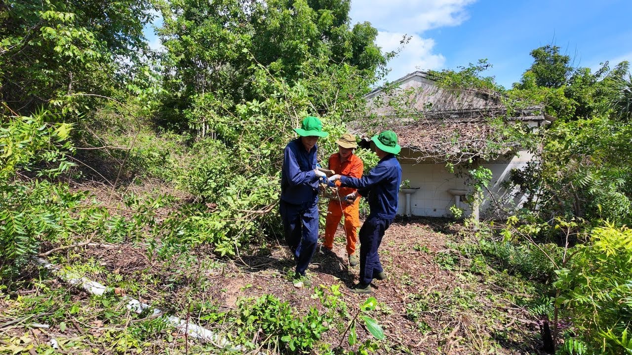 We Spent 72 Hours Rescuing a House Lost in the Jungle for 20 Years