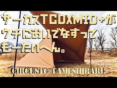 やっとこ!】サーカスTC DX MID+手に入れたので試し張く！！ - YouTube