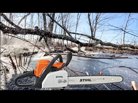 Stihl MS 170 chainsaw Review. (5 Year Review)