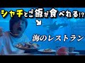 【神戸須磨シーワールド】リニューアルオープン!!シャチが観れるレストランがヤバすぎる!!【VLOG】