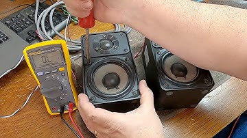 Realistic Minimus 7 Speakers. How to test THRIFT STORE speakers.