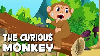 Moral Stories In English The Curious Monkey English Short Stories Moral Stories