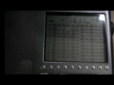 2010DFS Live 1611