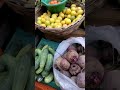 Vegetable selection by shailender sarvammayee