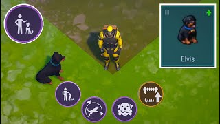 I Got a ' True Friend ' Dog Rottweiler From Puppy Level 3! Last Day On Earth Survival