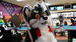 Mass FurBowl #42 - Random Clips