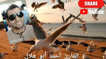 الشيخ احمد فتحي هلال وما تيسر من سورة ص