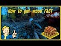 Fallout 76 - Where to find wood ⚡FAST⚡