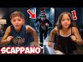 SCAPPANO: QUALCUNO È ENTRATO IN CASA: È IL GATTO CON IL CAPPELLO! ???????? AIUTO, SCAPPIAMO....