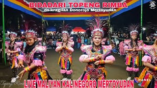 Download Lagu 🔴BIDADARINYA TOPENG IRENG TOPENG RIMBA LIVE DS MALIYAN KALINEGORO MERTOYUDAN  MP3